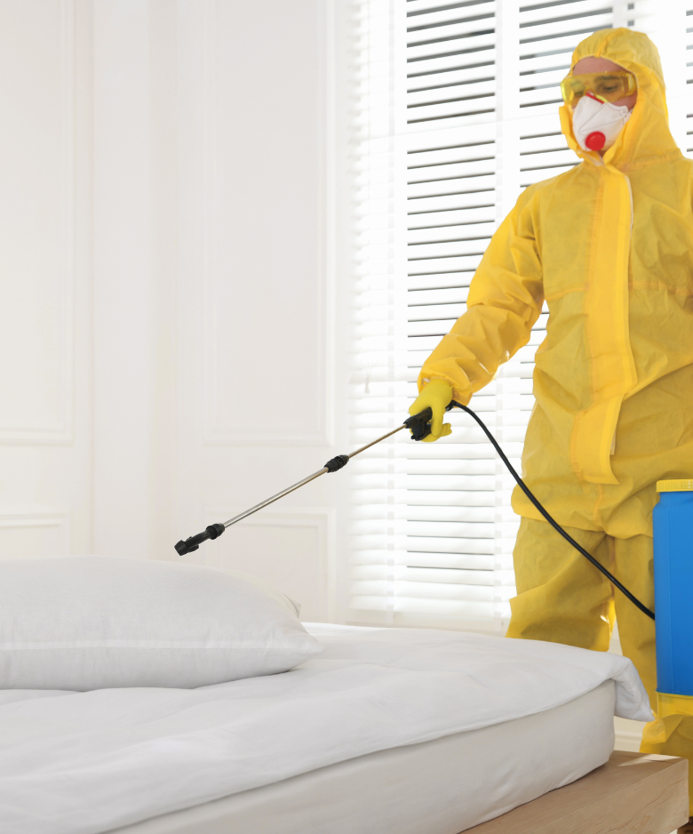 Professional Pest Control Team in Myrtle Bank